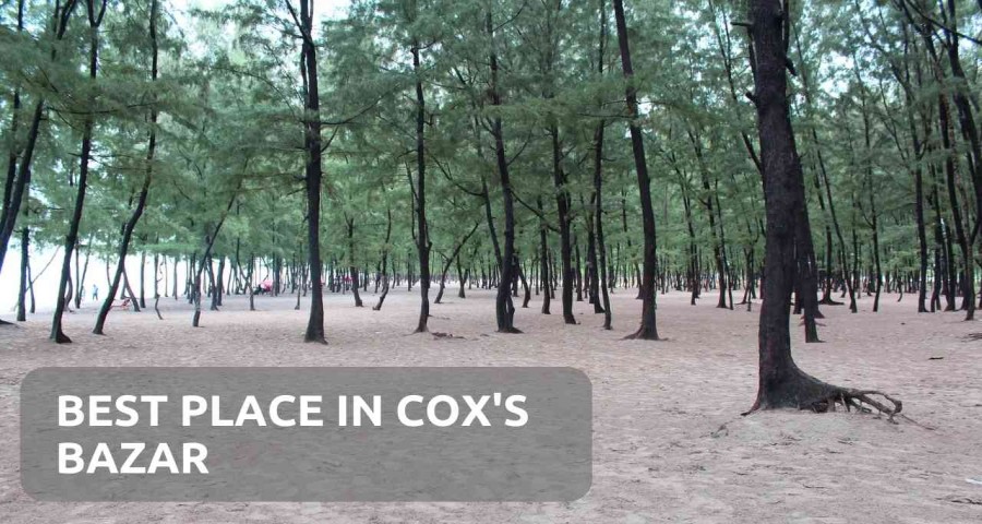 Best Place In Cox's Bazar